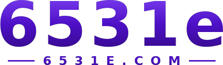 6531e logo